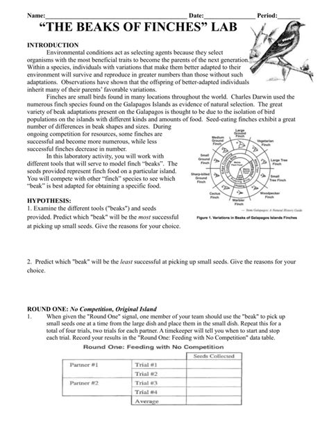 The beaks of finches student laboratory packet answers - Study with Quizlet and memorize flashcards containing terms like Selecting Agent:, Variations in the organisms:, Variations in the environment: and more.